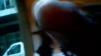 ربة منزل ناضجة كريستال راش تمتص ابنه قصص جنس عربي