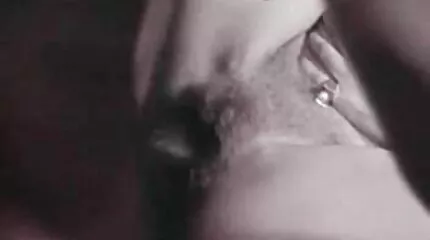 ثلاث افلام جنس عربي كاملة نادلات جميلات واثنين من الديكة الضخمة
