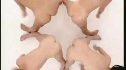 رجل بشعر على صدره يشارك صديقه ديكًا جنس عربي نار لذيذًا