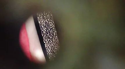 انهارت تنزيل جنس عربي الفتيات ، لكن في النهاية كشفن كس.