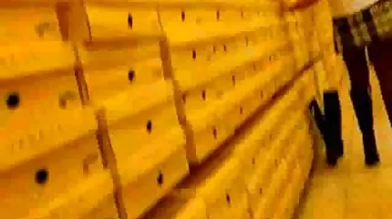 ألينا لوبيز تنشر جنس عربي جديد البولنديين والكافو