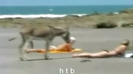 قاد الطالب جنس مترجم عربى - الحصول على handjob واللسان.