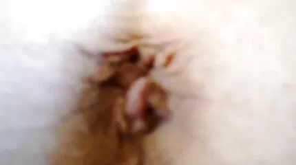 كانت زوجة الأب تلتقط صوراً للثدي وتمسك بالحمق مختلس النظر عربية جنس